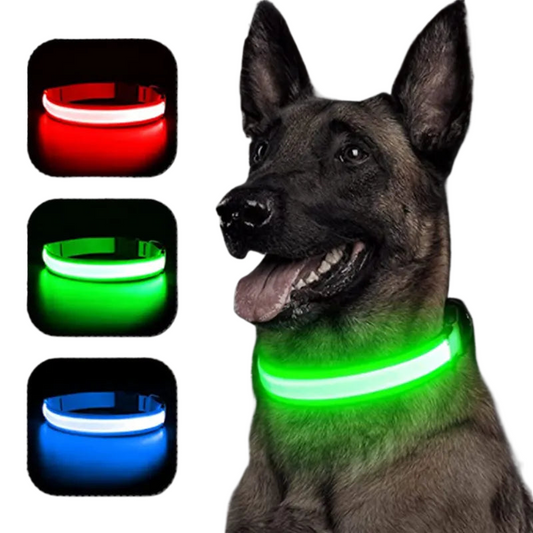 GlowCollar™ LED Dog Collar